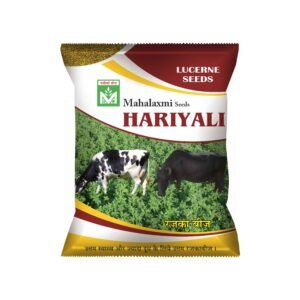 Hariyali