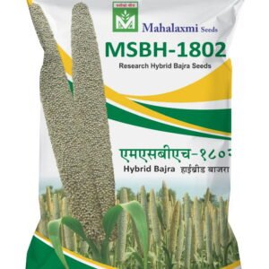 MSBH-1802