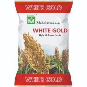 White Glod