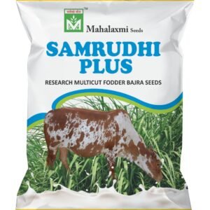 Samrudhi Plus