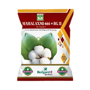 Mahalaxmi-666+