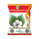 Mahalaxmi-666