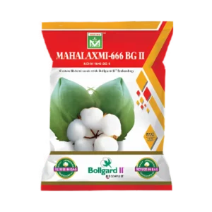 Mahalaxmi-666