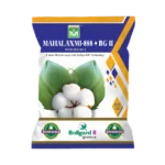 Mahalaxmi-888+
