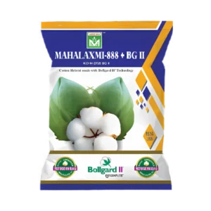 Mahalaxmi-888+