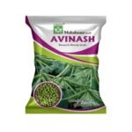 Avinash