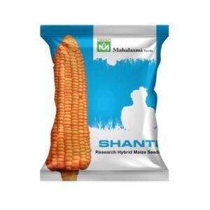 Shanti